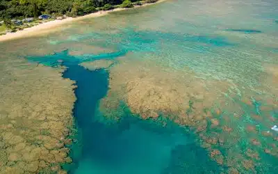 Anini Beach